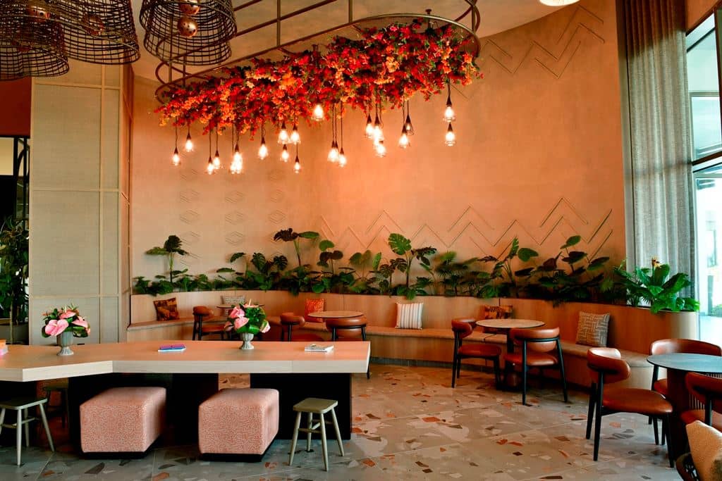 bars-ava-cafe
