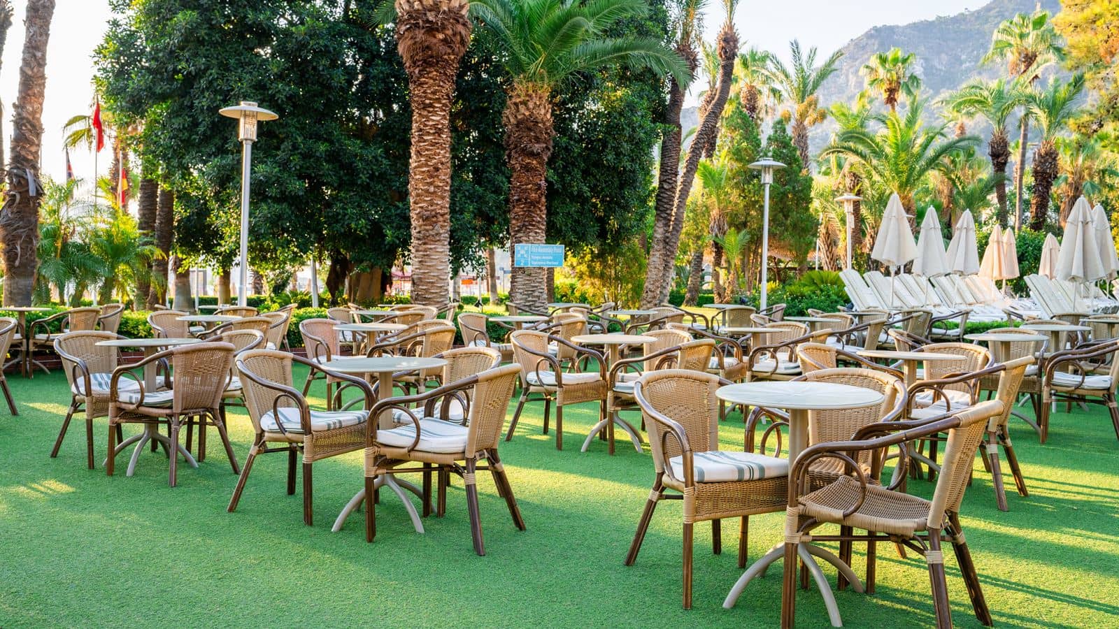 bars-palm-snack-bar