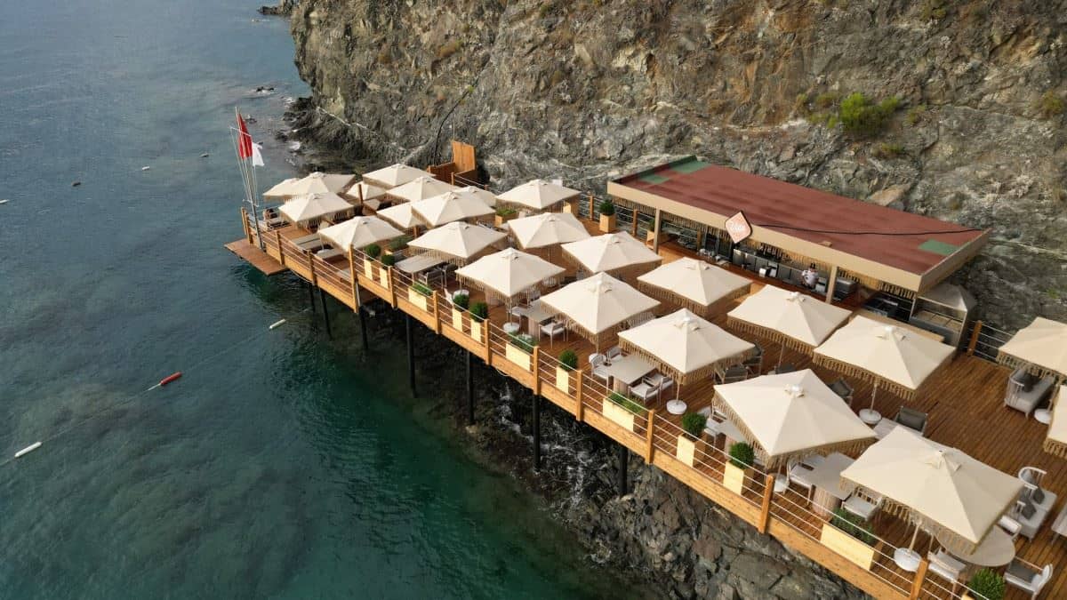 bars-the-vista-bar