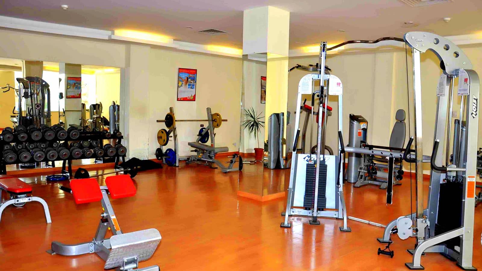 sport-sport