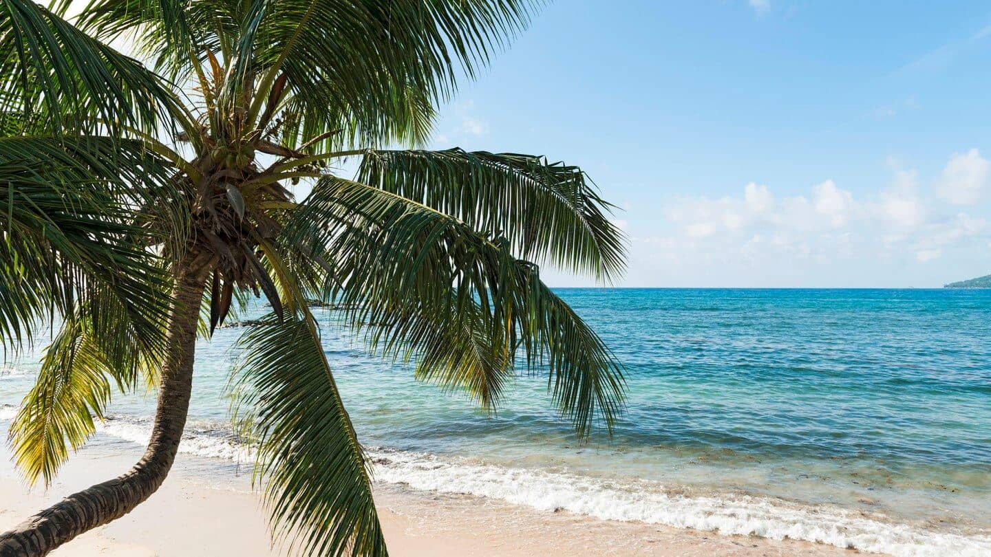beach-beach
