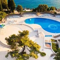 Baseini preview