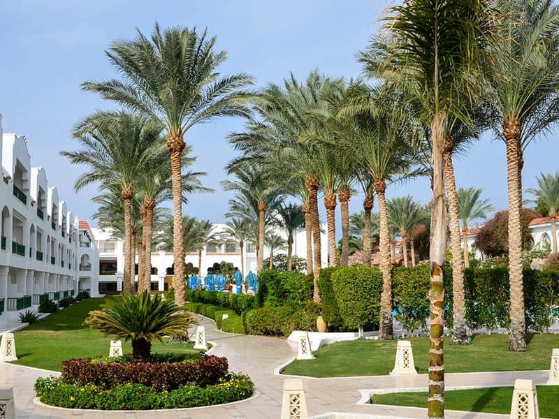 BARON PALMS RESORT - Vispārīgi