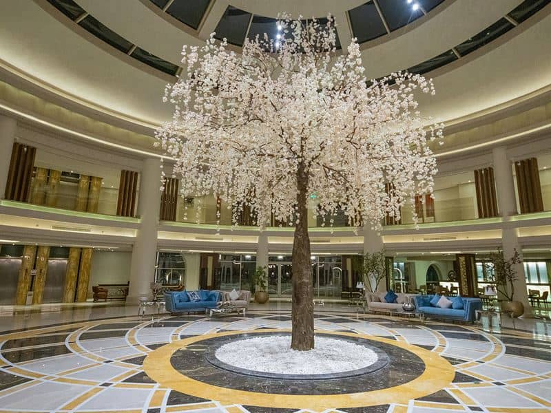 KAISOL ROMANCE RESORT SAHL HASHEESH - Vispārīgi