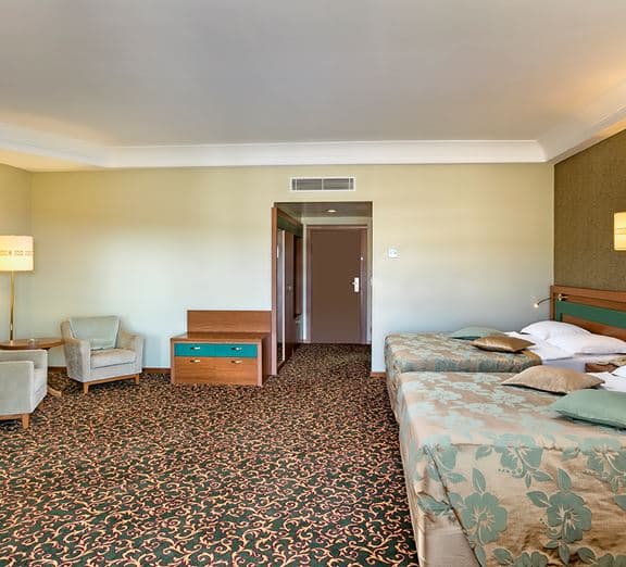 STANDARD LARGE ROOM SEA VIEW Numuri