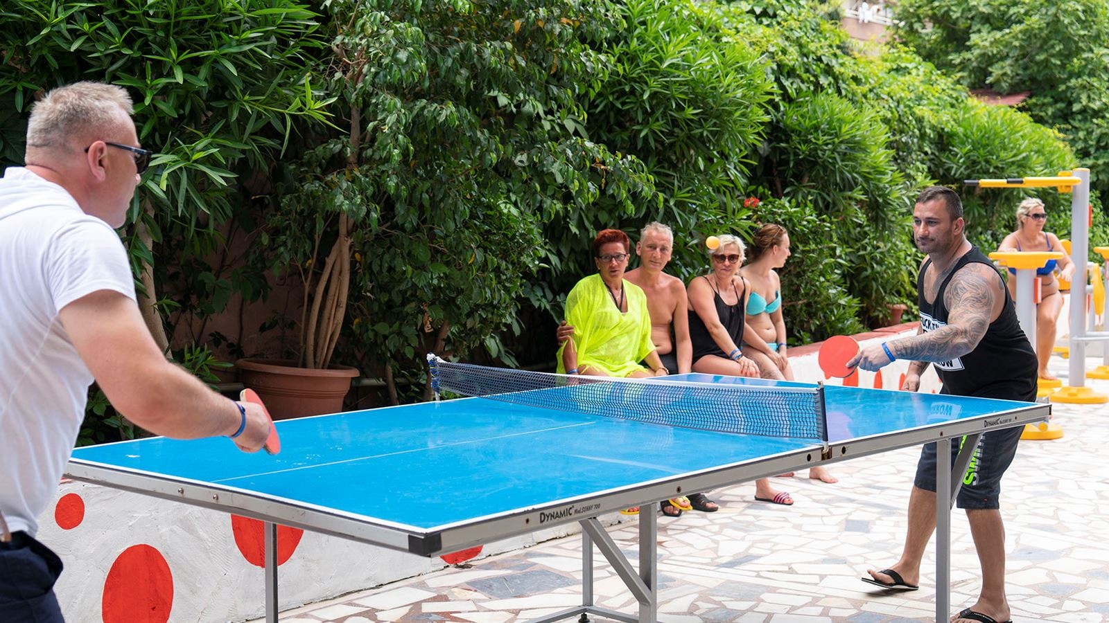 sport-sport
