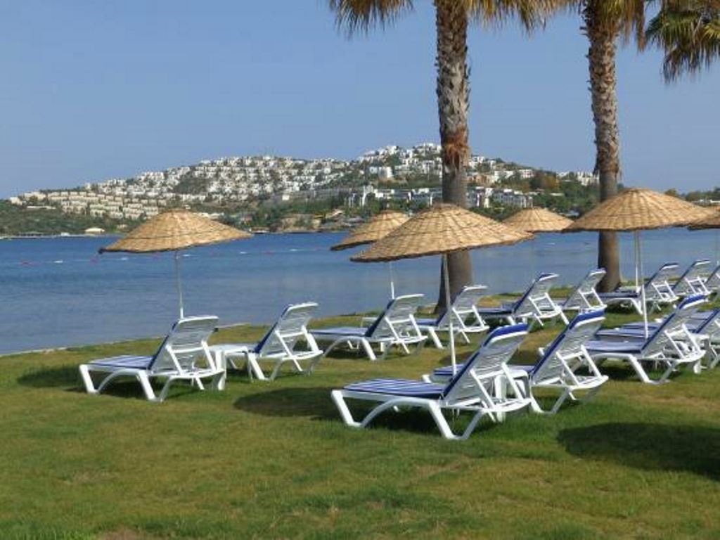 beach-beach