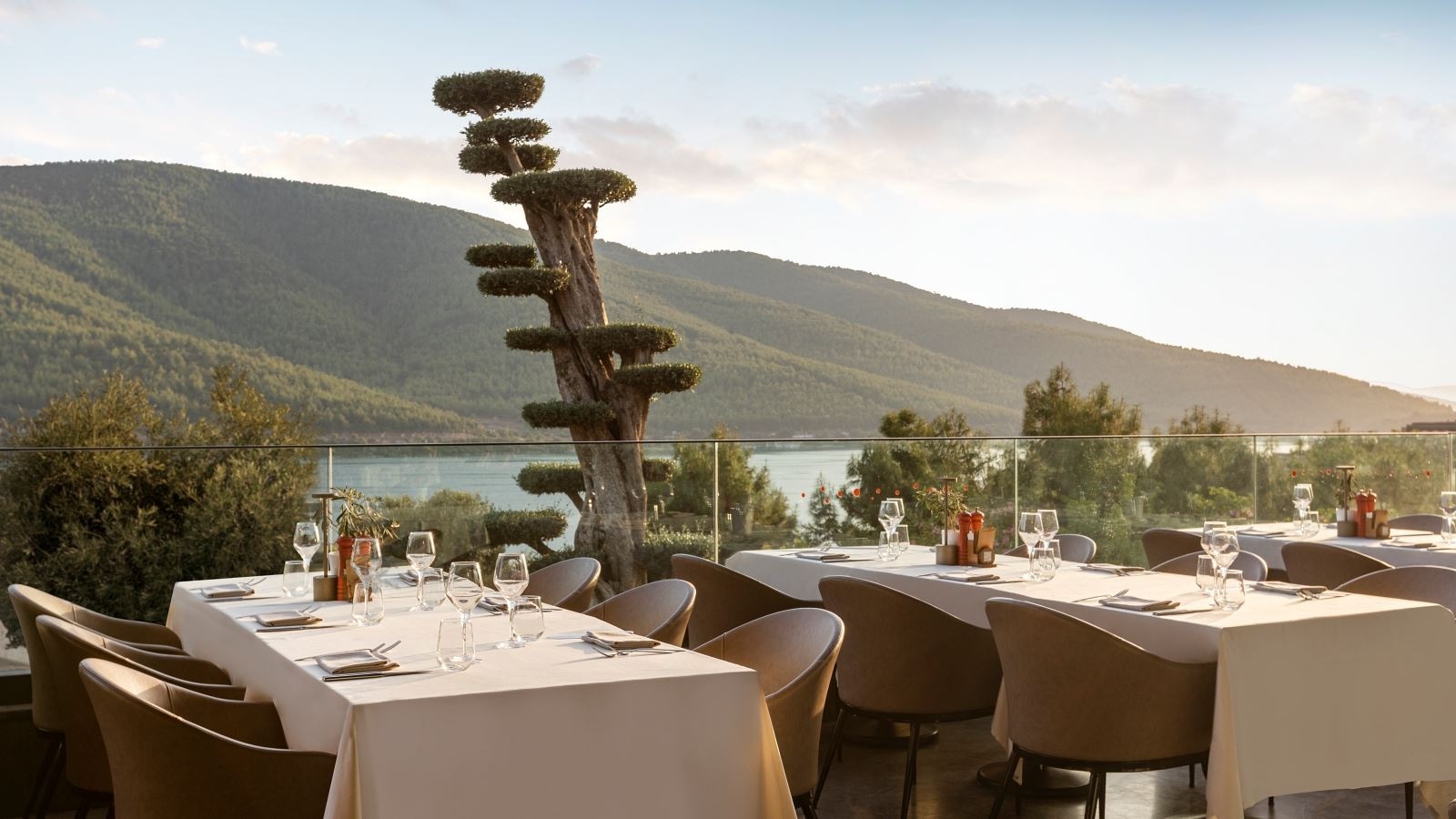 restaurants-koza-international-cuisine