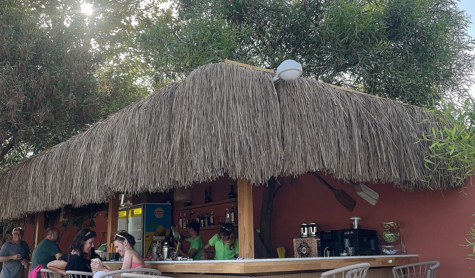 bars-beach-bar