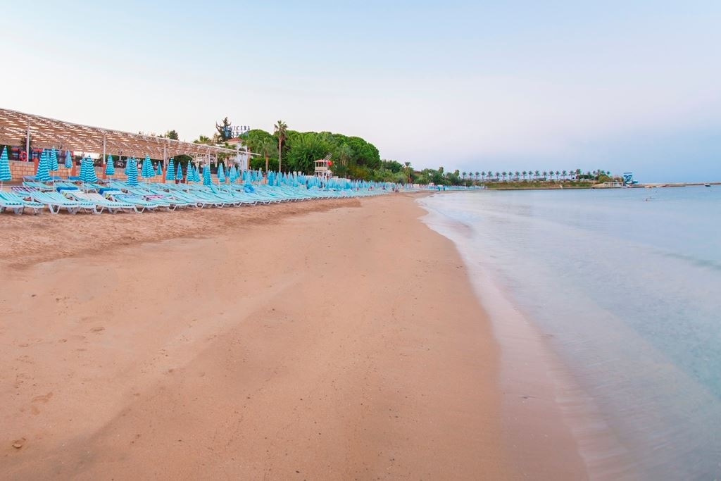 beach-beach