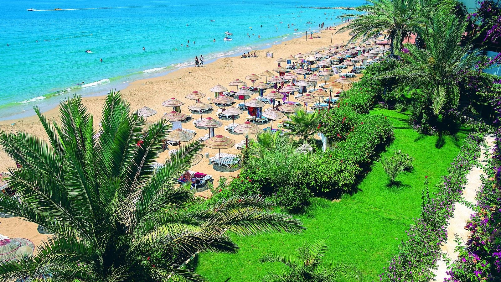 beach-beach