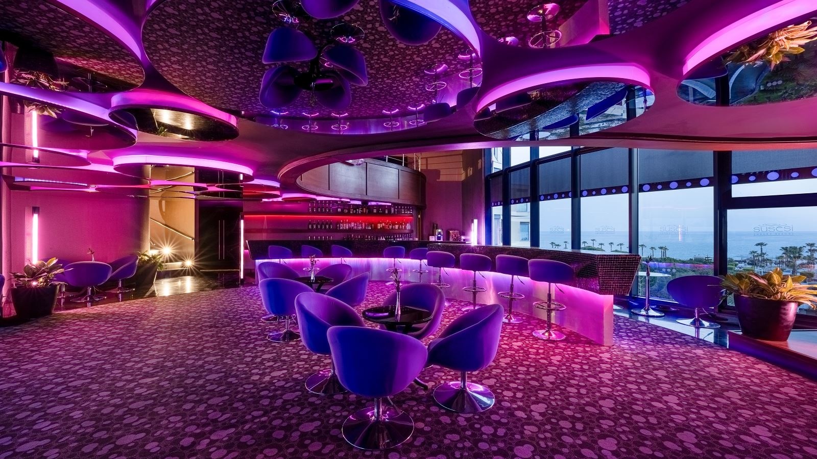 bars-mor-bar--purple-bar