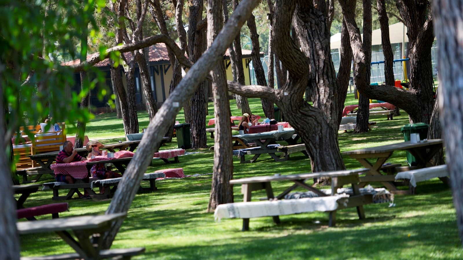 restaurants-picnic--once-per-week