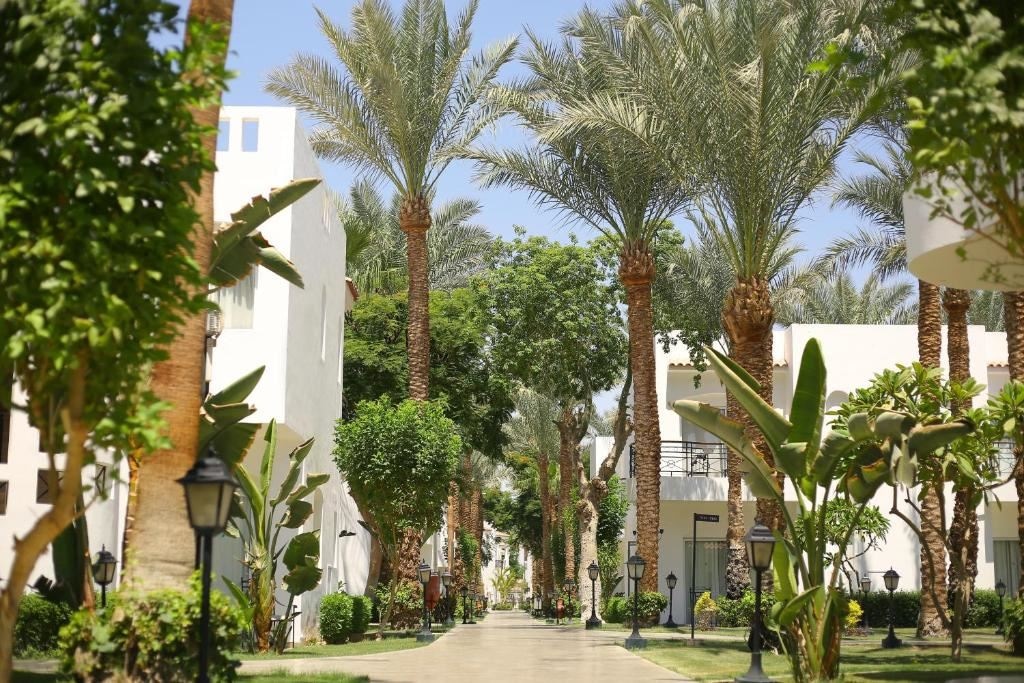 general-general
