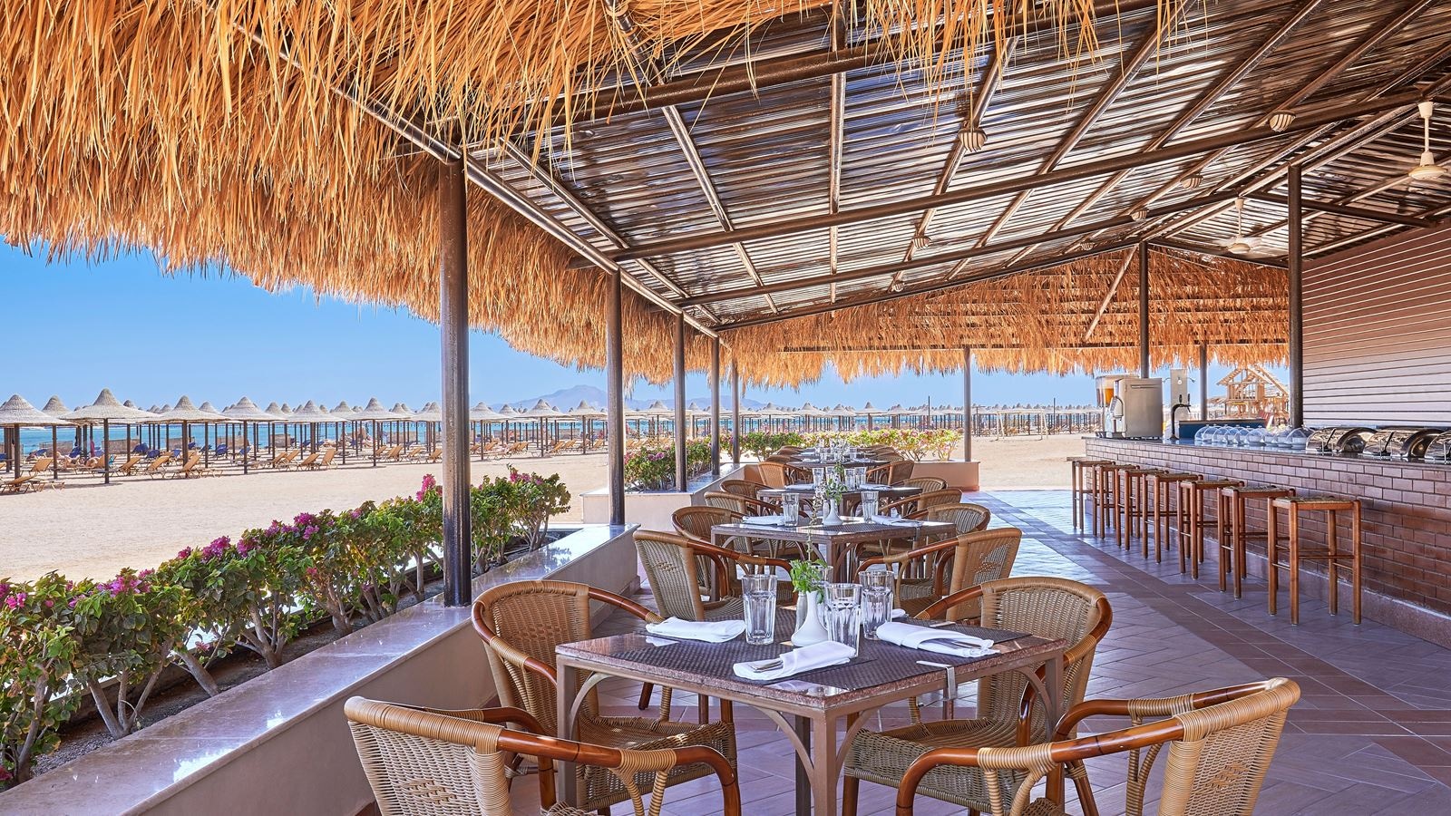 bars-sand-beach-bar