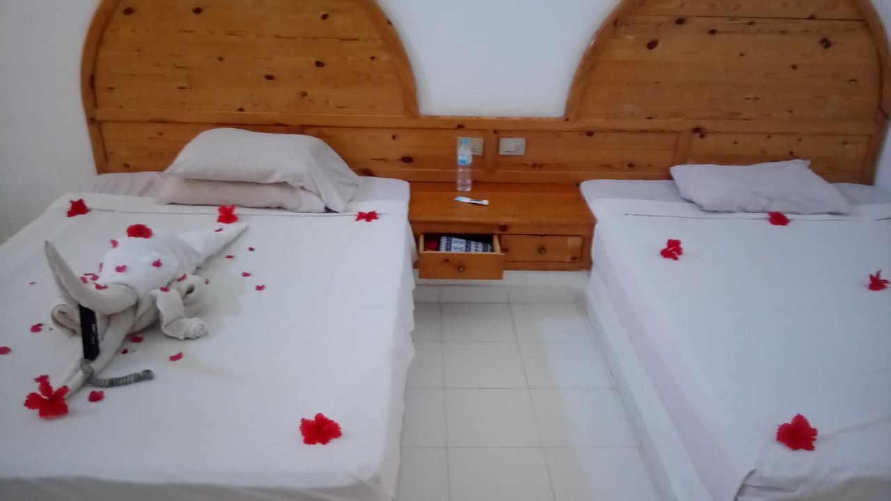 rooms-basic-bungalow-room