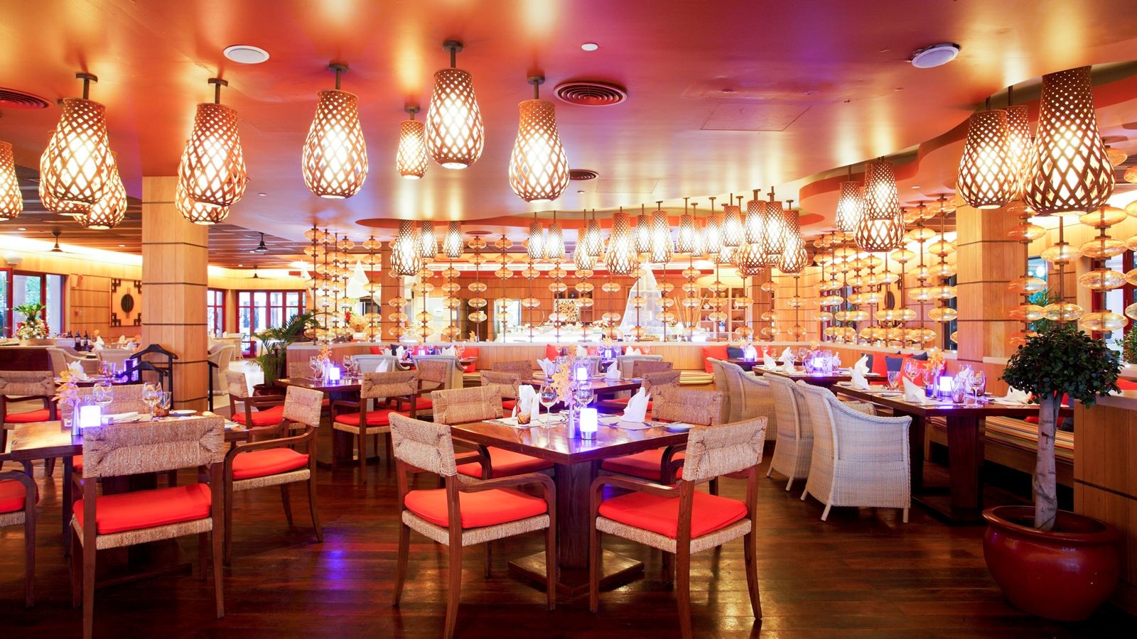 restaurants-the-cove