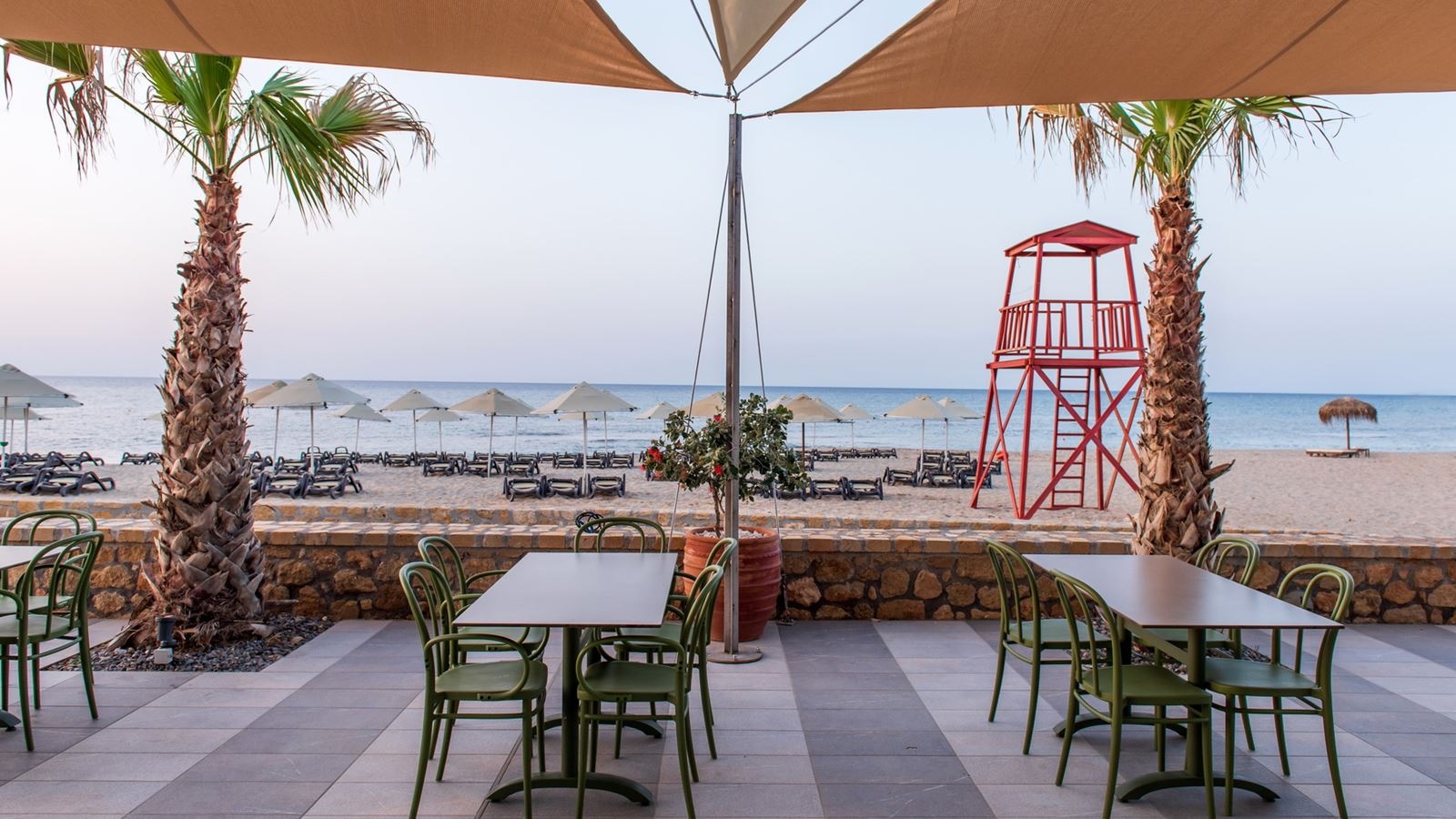 restaurants-street-food-snack-restaurant