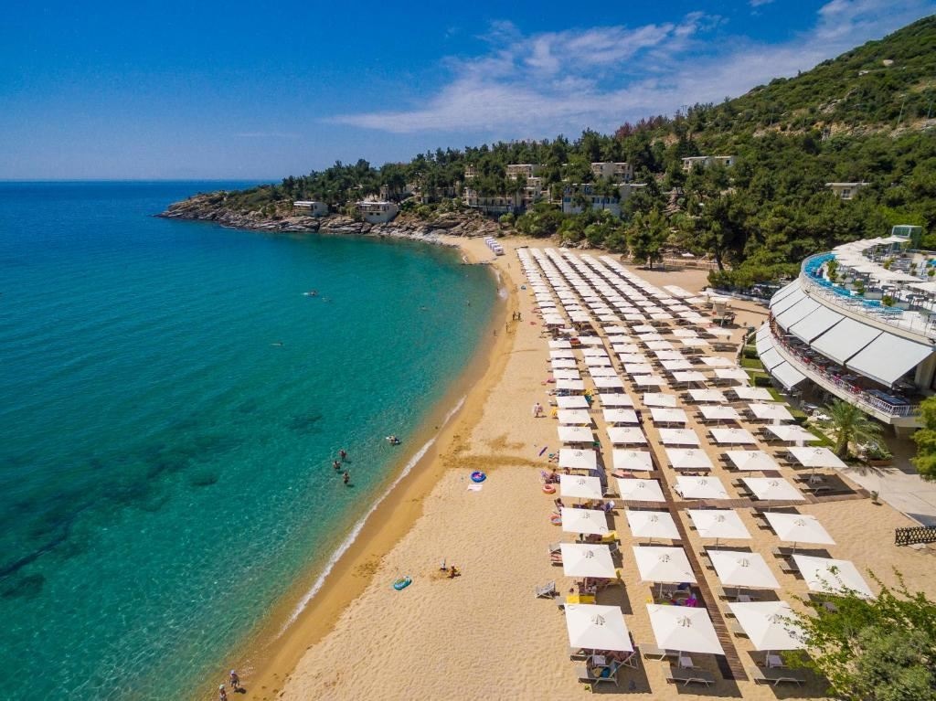 beach-beach