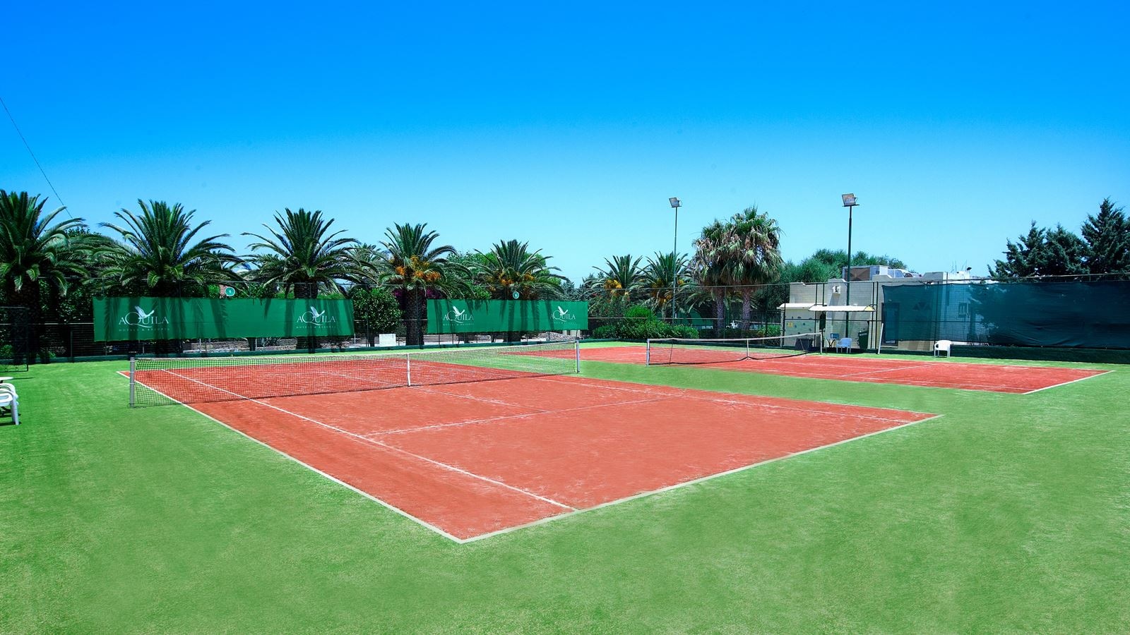 sport-sport