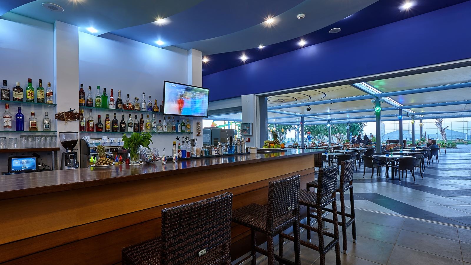 bars-votsalo-bar